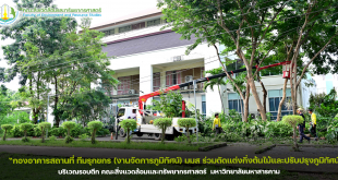 กองอาคารสถานที่ ทีมรุกขกร (งานจัดการภูมิทัศน์) มมส ร่วมตัดแต่งกิ่งต้นไม้และปรับปรุงภูมิทัศน์ บริเวณรอบตึก คณะสิ่งแวดล้อมและทรัพยากรศาสตร์ มหาวิทยาลัยมหาสารคาม ณ วันที่ 20 ตุลาคม 2568
